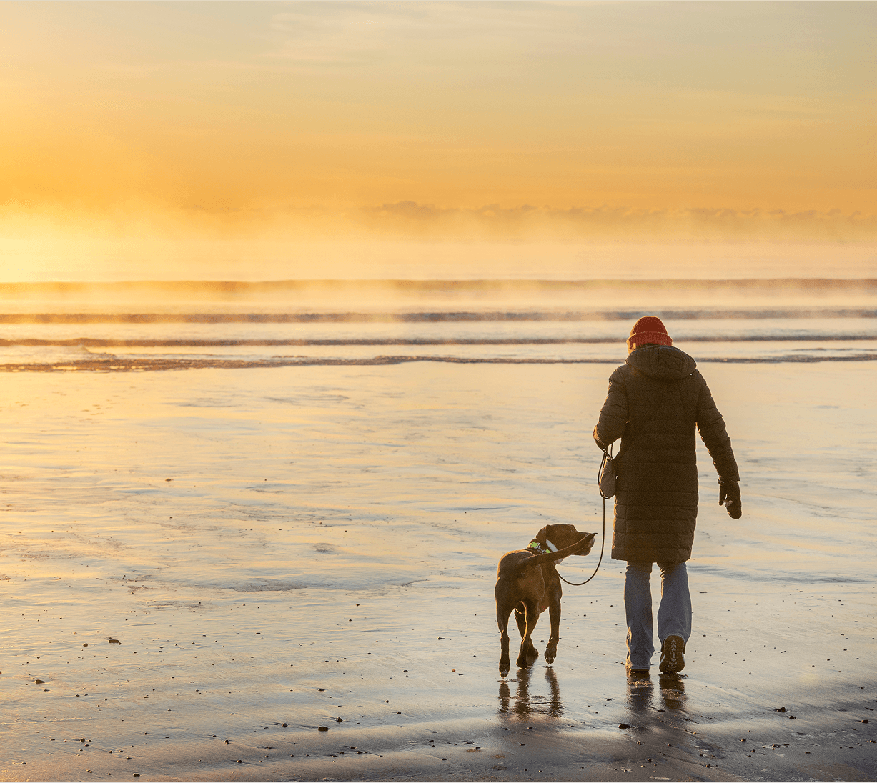 BN WinterWildlyResponsible-8995 1